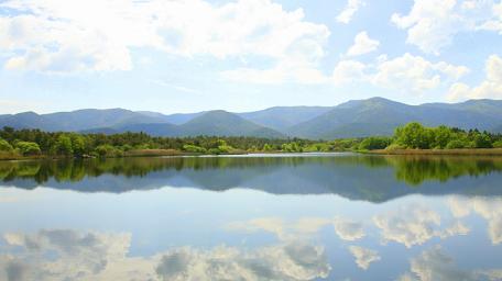 Le Cannet des Maures